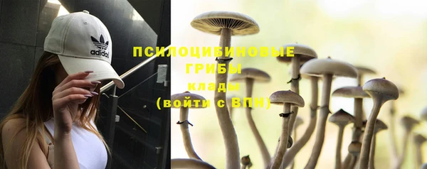 крисы Лиски