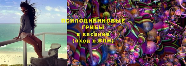 твердый Липки