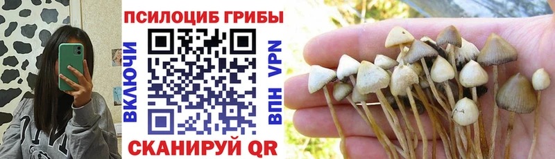 Галлюциногенные грибы Psilocybine cubensis  Эртиль 
